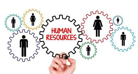 Human Resources Graphic